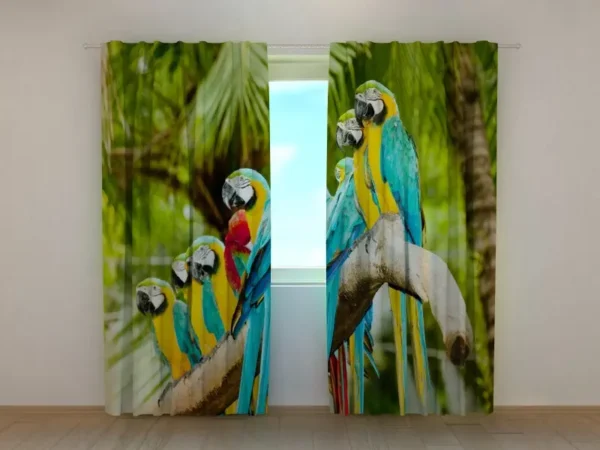 Photo Tents Parrots