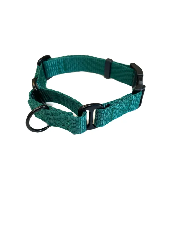 Martingale Dog Collar - Image 2