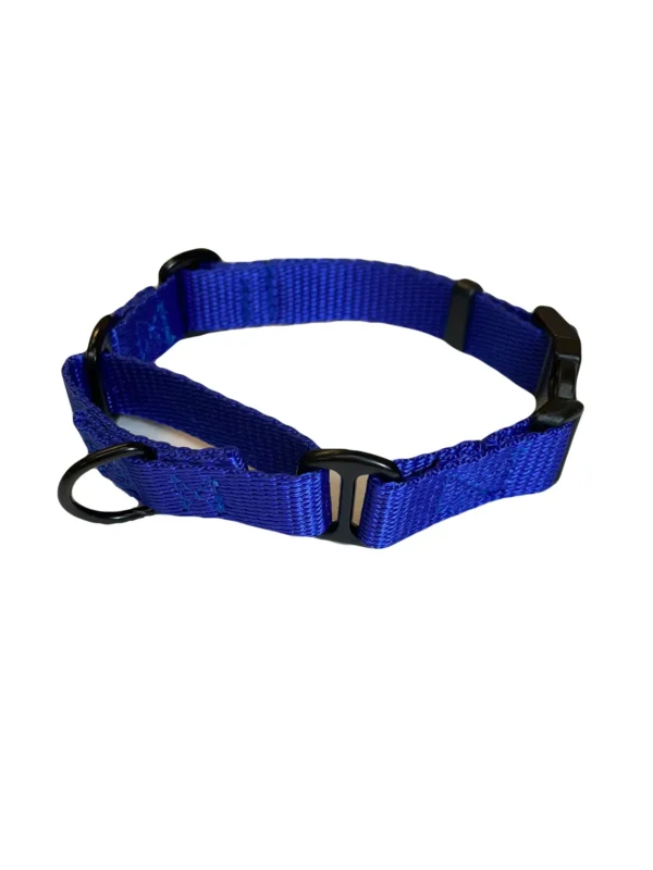 Martingale Dog Collar - Image 3