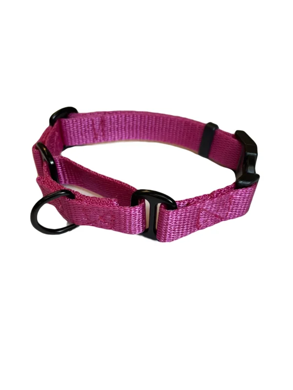 Martingale Dog Collar - Image 6