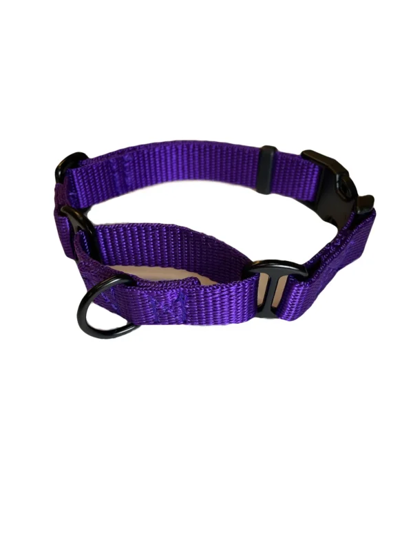 Martingale Dog Collar - Image 7