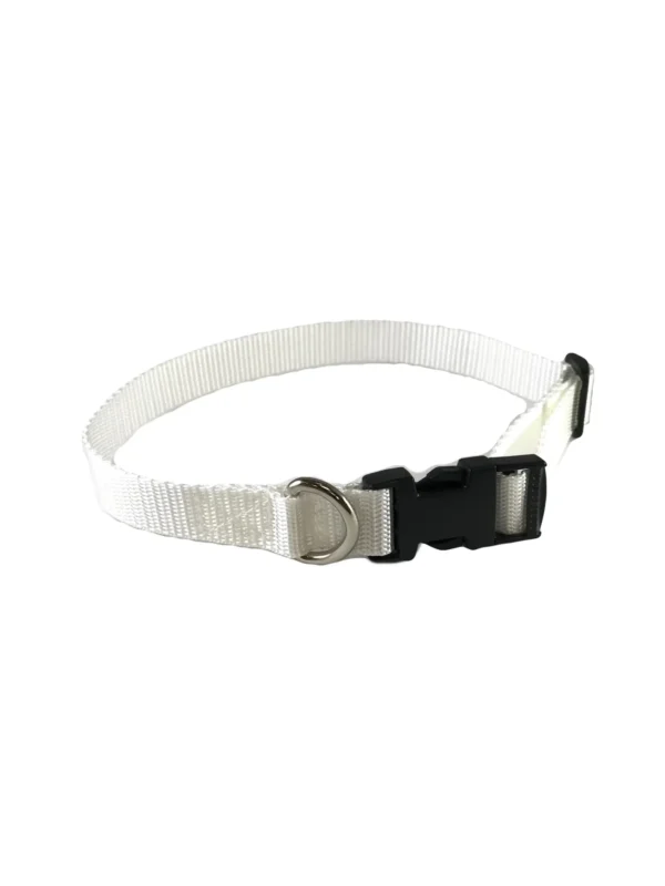 Standard Dog Collar - Image 9