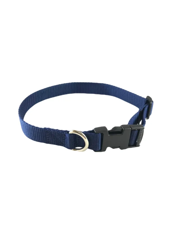 Standard Dog Collar - Image 10