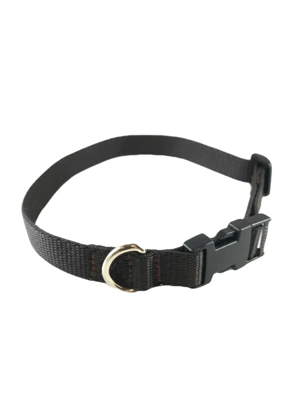 Standard Dog Collar - Image 11