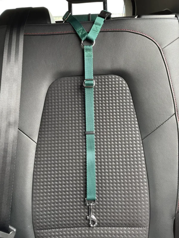 Car Seat Belt (for use with harness only) - Image 4