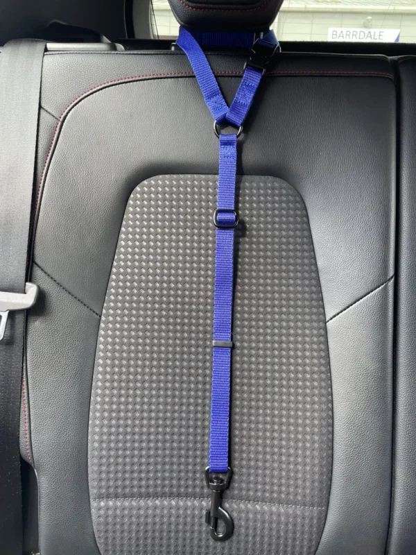 Car Seat Belt (for use with harness only) - Image 9