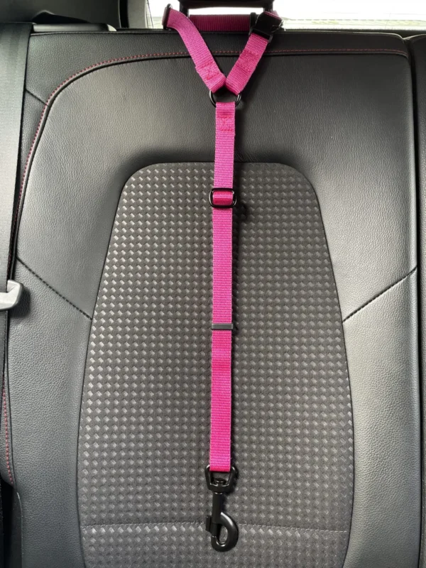 Car Seat Belt (for use with harness only) - Image 12