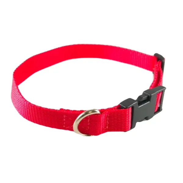 Standard Dog Collar - Image 3