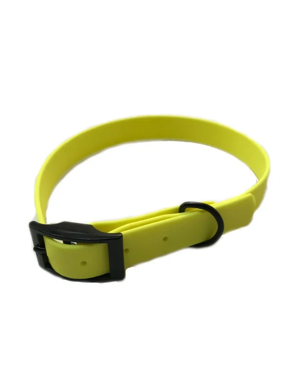 Waterproof Webbing Dog Collar - Image 7