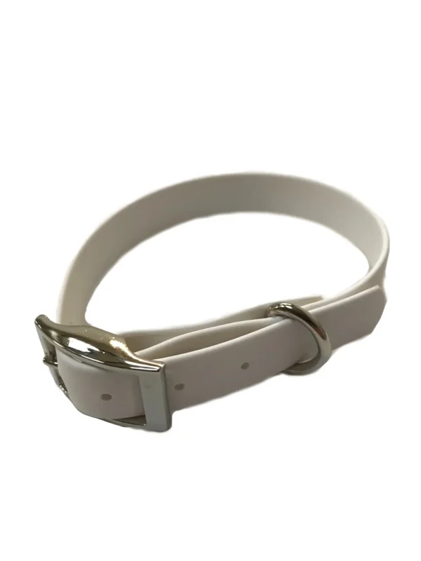 Waterproof Webbing Dog Collar - Image 6