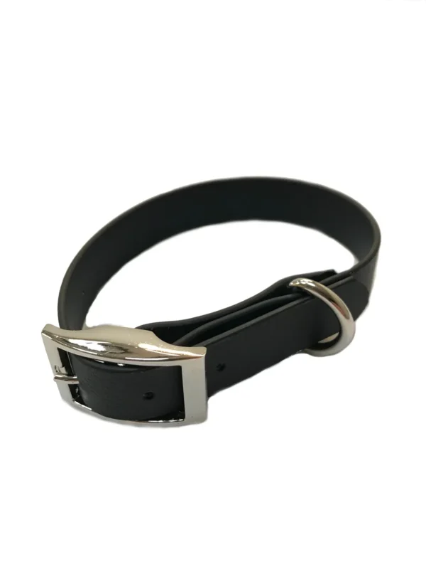 Waterproof Webbing Dog Collar - Image 11