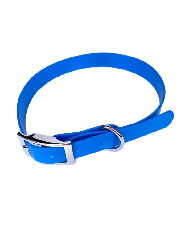 Waterproof Webbing Dog Collar - Image 5