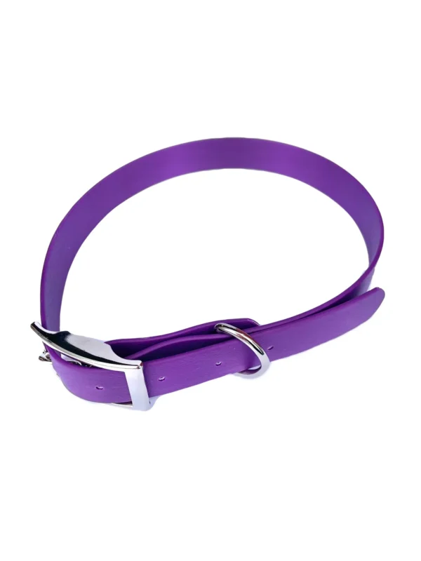 Waterproof Webbing Dog Collar - Image 10