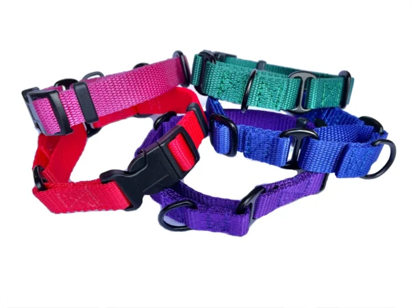 Martingale Dog Collar - Image 4