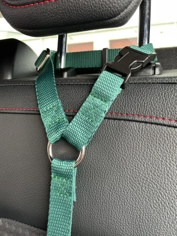 Car Seat Belt (for use with harness only) - Image 2