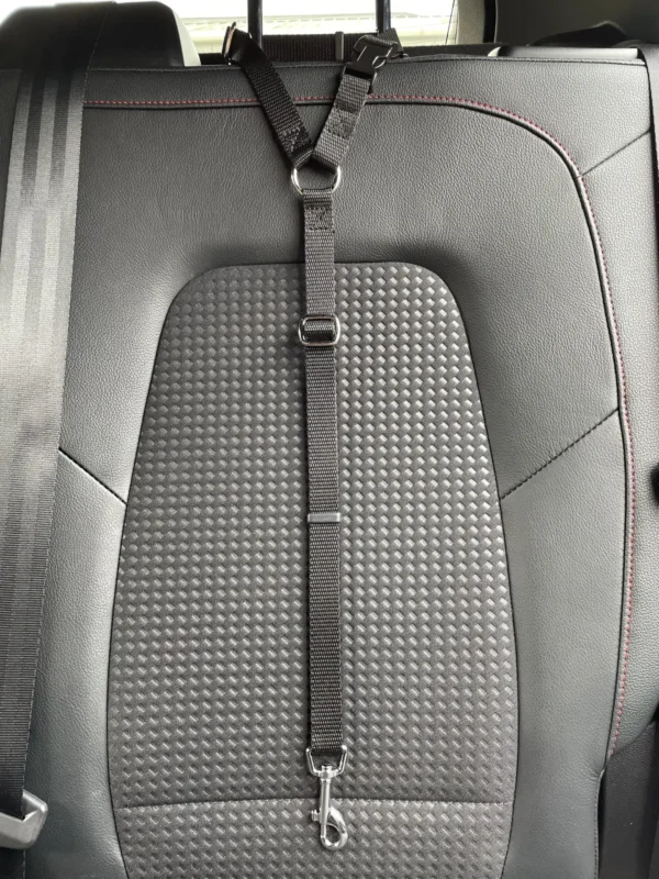 Car Seat Belt (for use with harness only) - Image 3