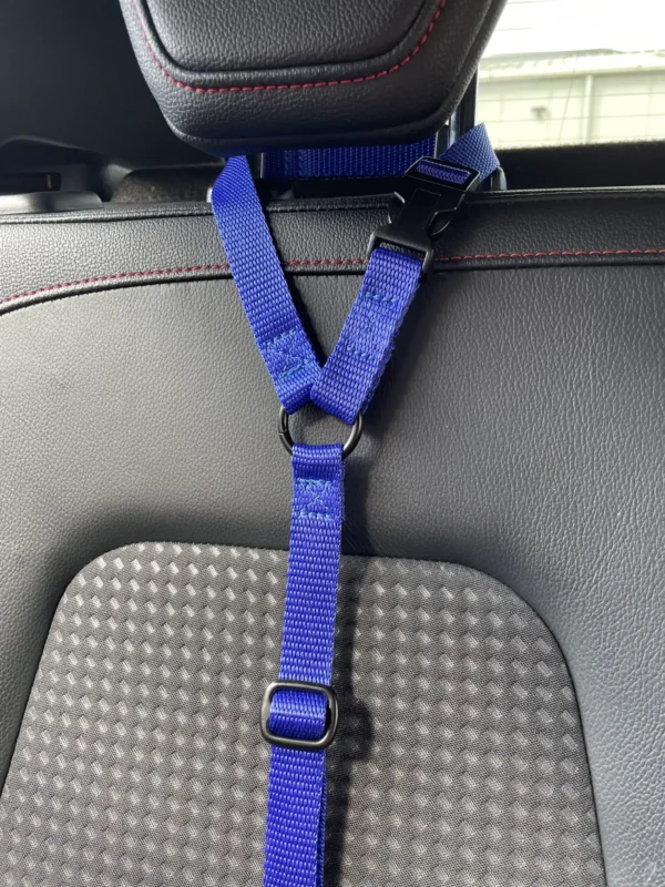 Car Seat Belt (for use with harness only) - Image 13