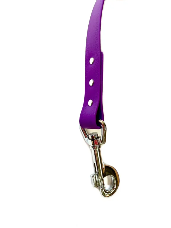 Waterproof Webbing Dog Lead - Image 12