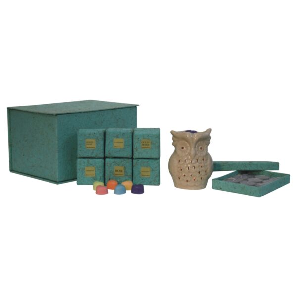 Owl Wax Melter Set (Summer) - Image 6