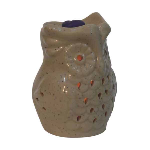 Owl Wax Melter Set (Summer) - Image 3