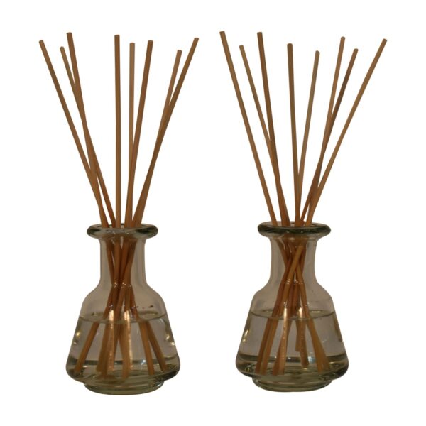 Adira Glass Bottle Diffuser Set (Mandarin & Apple Cinnamon) - Image 2