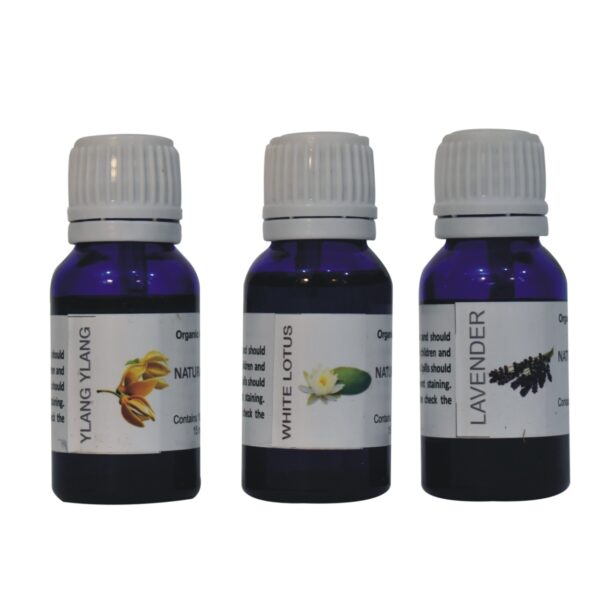 Taya Lilac Oil Burner Set - Image 4