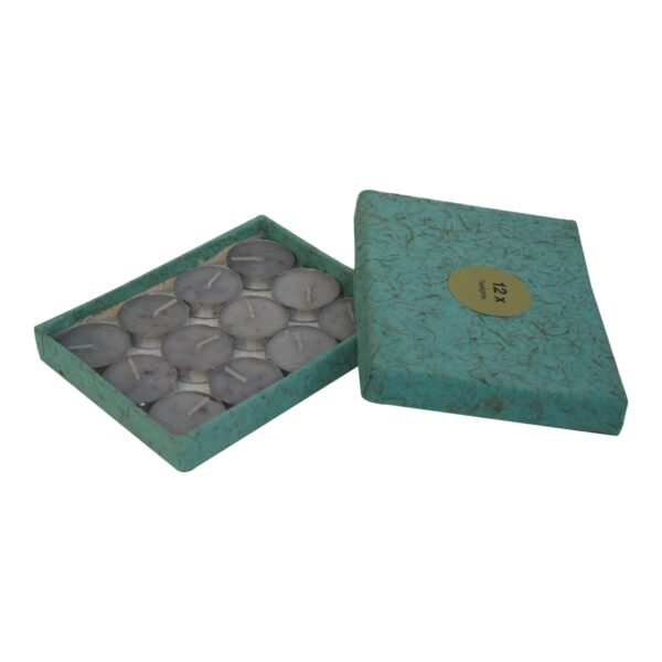 Cut-out Leaf Wax Melter Set (Fruit) - Image 5