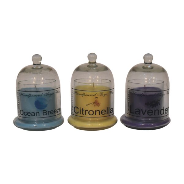 Bell Jar Candle Set (Summer) - Image 2