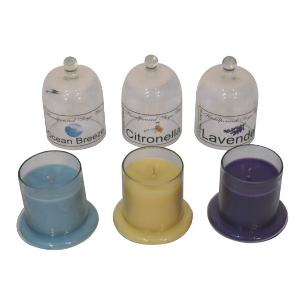 Bell Jar Candle Set (Summer) - Image 3