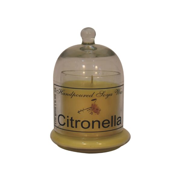 Bell Jar Candle Set (Summer) - Image 5
