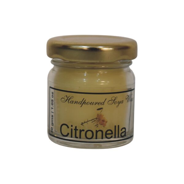 Mini Candle Set of 6 (Summer) - Image 9