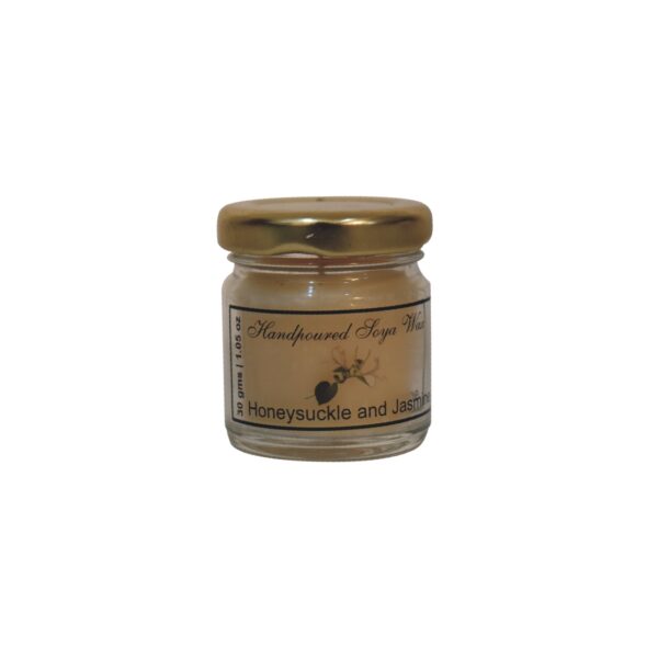 Mini Candle Set of 6 (Fruit) - Image 4
