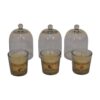 Round Cande Set of 3 (Fruit) - Image 2