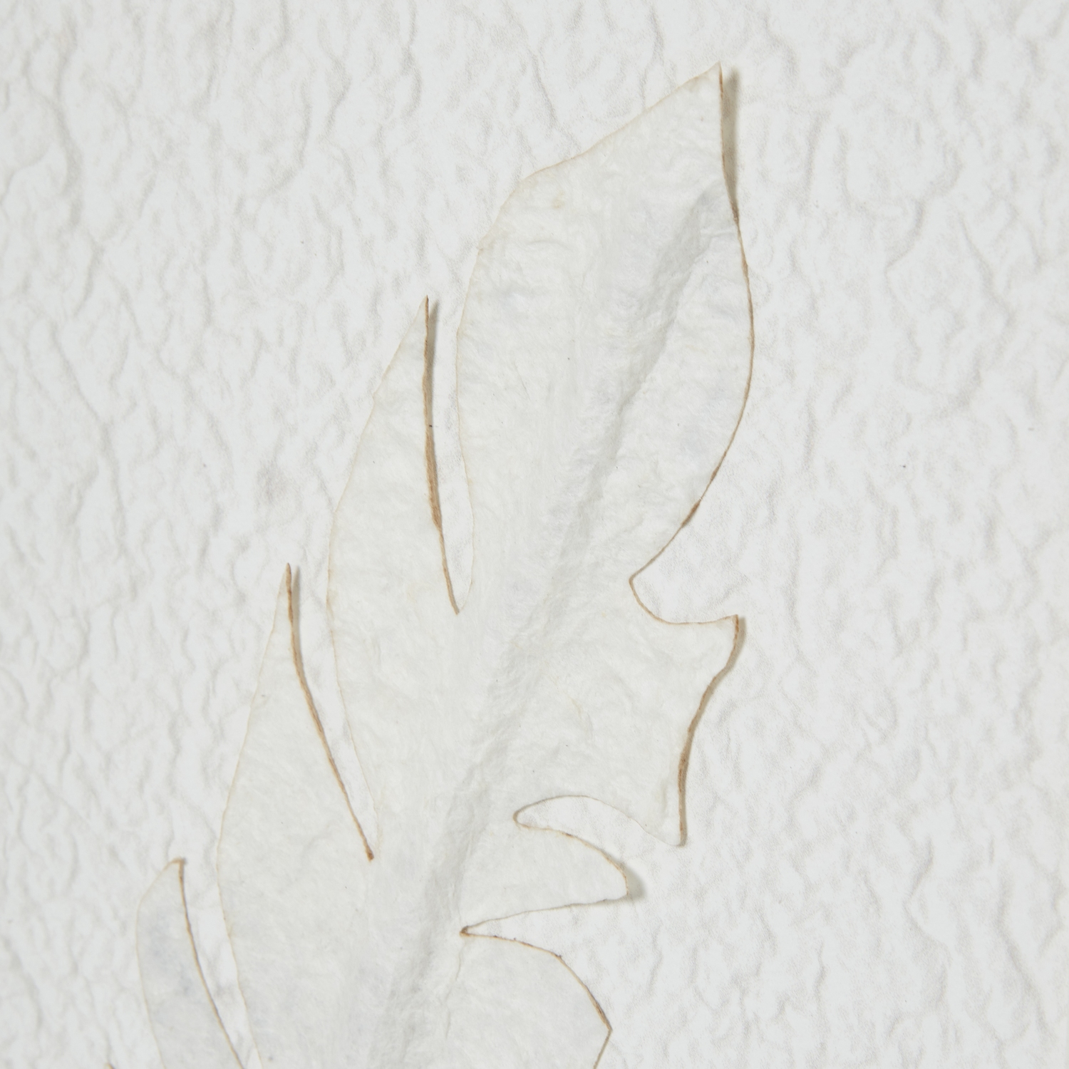 Solli White Feathers Art Mounted In Beaded Frame - Image 3