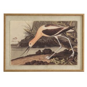 Flora & Fauna Collection Avocet On Linen In Beaded Frame