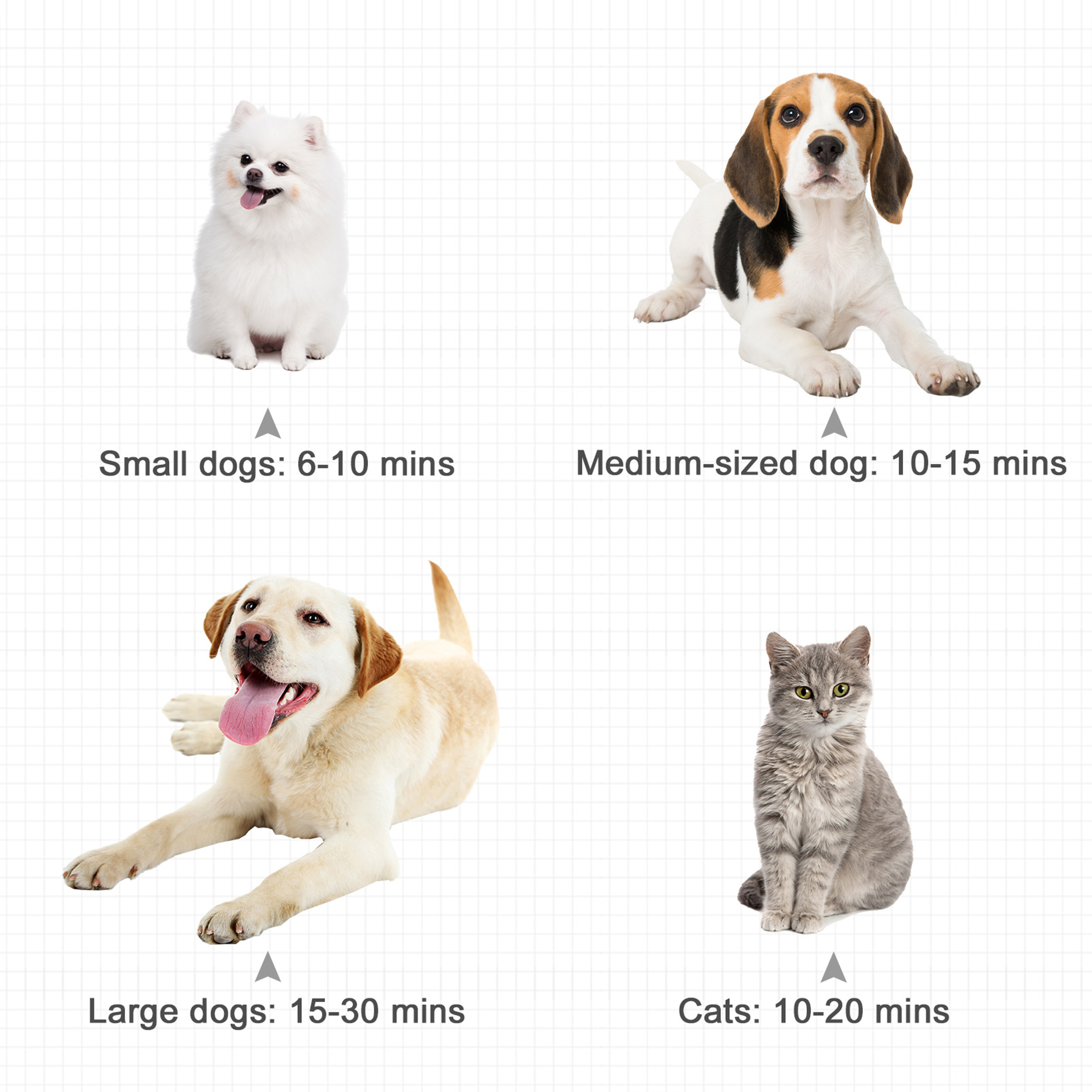 PawHut Dog Hair Dryer Pet Grooming Blaster Dryer Blower Adjustable Temperature Speed with 2.1M Flexible Hose 3 Nozzles - Black - Image 6